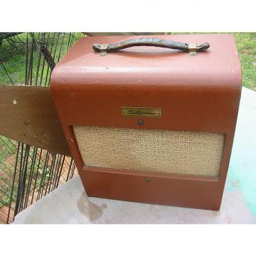 Custom 1950's Silvertone Amp 1430 Amp  Original -Clean Danelectro