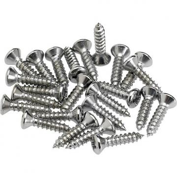 Custom Fender Pickguard Screws - Chrome