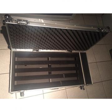 Custom Pedaltrain Pro with Flight Case