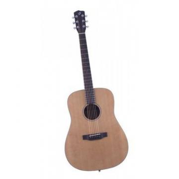 Breedlove Model Passport D/SM Acoustic Guitar With Gigbag