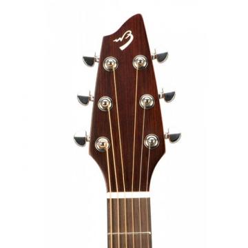 Breedlove martin guitar strings acoustic medium Model martin guitar strings Passport acoustic guitar martin C250/COE dreadnought acoustic guitar Acoustic guitar strings martin Electric Guitar WITH Gigbag