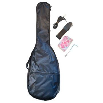 39 Inch BLUE Electric Guitar &amp; Carrying Case &amp; Accessories, (Guitar, Whammy Bar, Strap, Cable, Strings, &amp; DirectlyCheap(TM) Translucent Blue Medium Guitar Pick) PRO-EG Series
