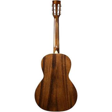 Ibanez AVN5OPN Artwood Vintage Parlor Guitar - Open Pore Natural