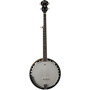 Washburn Banjo, 5 String