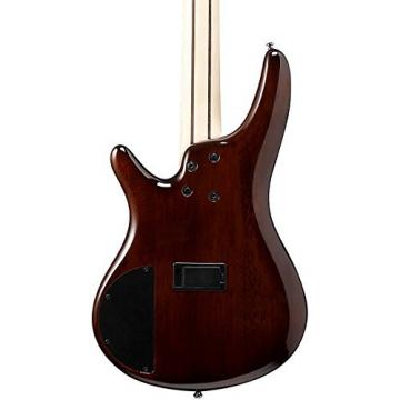 Ibanez SR405EQM 5-String Electric Bass Guitar (Dragon Eye Burst)