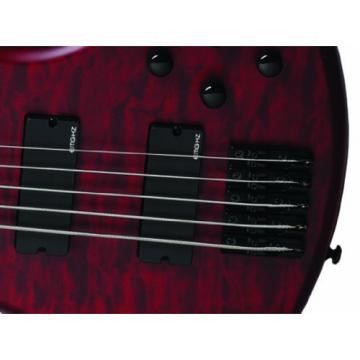 Schecter Stiletto Custom-5 Electric Bass Guitar (5 String, Vampyer Red Satin)