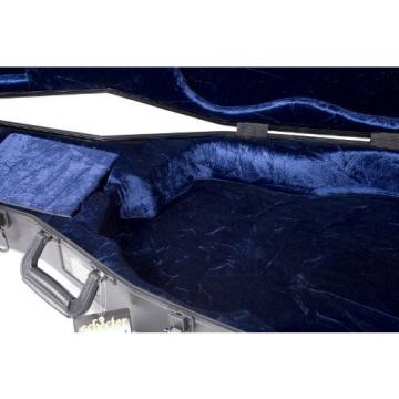 Schecter SGR-13AC   Guitar Case