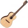 Custom Vintage VE8000PB Paul Brett Signature Guitar 6 String Acoustic With Case