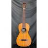 Custom 1848 Louis Panormo Spanish style Romantic guitar