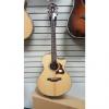Custom Ibanez AE305-NT Acoustic-Electric Guitar