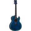 New Exhibition FM Thin Body Acoustic Electric Guitar With Aphex