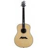Breedlove Broadway Model Rounded Dreadnought Acoustic Guitar  W/HS Case