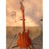 Custom Shop Languedoc Electric Guitar Fhole Deadwood with Bracing Inside
