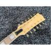 Project 12 String Ivory Color Electric Guitar Maestro Vibrola