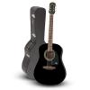 Epiphone DR-100 Acoustic Guitar Black with Road Runner RRDWA Case