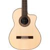 Cordoba acoustic guitar strings martin 55FCE dreadnought acoustic guitar Thinbody martin acoustic guitar Limited martin guitar case Flamenco acoustic guitar martin Acoustic-Electric Guitar