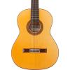 Cordoba martin strings acoustic 45FM guitar martin Acoustic martin acoustic guitars Nylon martin guitar case String martin d45 Flamenco Guitar