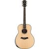 Chaylor Presentation Series PS18e Grand Orchestra Macassar Ebony Acoustic-Electric Guitar