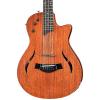 Chaylor T5z Classic Mahogany Top Acoustic-Electric 12 String Guitar Natural