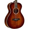 Chaylor Koa Series K22e 12-Fret Grand Concert Limited Edition Acoustic-Electric Guitar Shaded Edge Burst