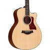 Chaylor 500 Series 556ce Grand Symphony Acoustic-Electric Guitar Natural