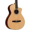 Chaylor 400 Series 412ce-N  Grand Concert Nylon String Acoustic-Electric Guitar Natural