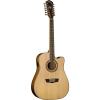 Washburn WD10 SeriesWD10SCE12 12-String Acoustic Guitar
