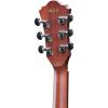 Ibanez AEW40FFCDNT Walnut Multi-Scale Acousitc-Electric Guitar Gloss Natural