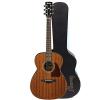 Ibanez AC240OPN Artwood Series Grand Concert Acoustic Guitar Natural Open Pore With Case, Mini Stand, Tuner, Pegwinders, and Polishing Cloth