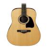 Ibanez IJD100S Jampack Dreadnought Solid Top Acoustic Guitar Package, Includes Gig Bag, Chromatic Clip-On Tuner, Guitar Strap