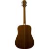 Washburn WD10 Series WD10S Acoustic Guitar