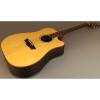 New Washburn Timber Ridge Wd250swce All Solid Acoustic Electric Guitar