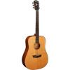 Washburn Solid Wood Series WD160SW Dreadnought Acoustic Guitar, Natural
