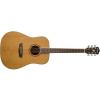 Washburn WD-11S Acoustic Guitar