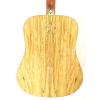 Washburn WCSD40SK Woodcraft Series Acoustic Guitar w/Gig Bag, Strings plus More