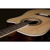 Washburn WD20 Series WD20SCE Acoustic Electric Guitar