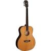 Washburn WD25 Series WG26S Acoustic Guitar