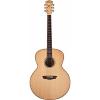 Washburn WJ45S Jumbo Solid Spruce Top Acoustic Guitar w/Hard Case + More