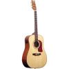 Washburn DK20T w/ Deluxe Gig Bag Acoustic Guitar with Built In Tuner