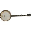 Washburn  B17K Banjo (5 String)