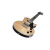 Schecter Solo-II Custom Solid-Body Electric Guitar, Gloss Natural