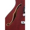Schecter Corsair with Bigsby Electric Guitar (Gloss Walnut)