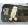 Lap Steel guitar with case, Black