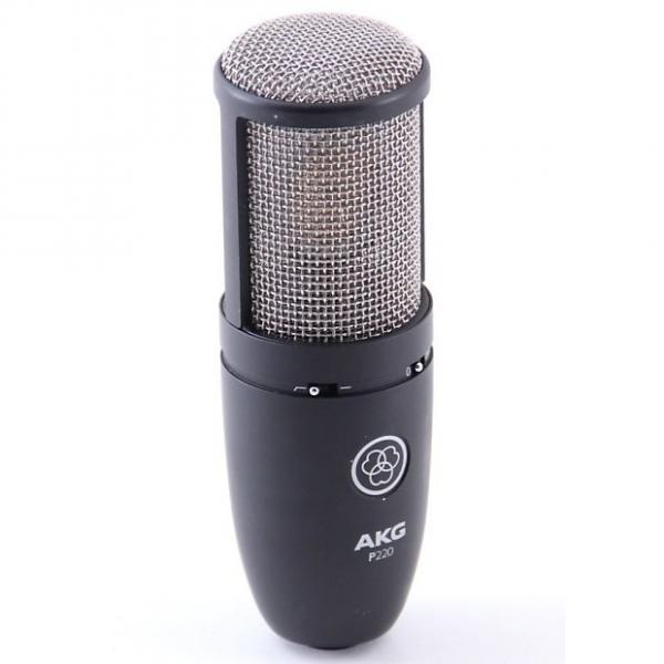 Custom AKG P220 Condenser Cardioid Microphone MC-1884