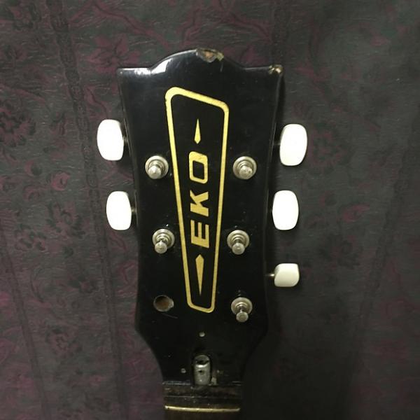 Custom Eko Bolt On Neck