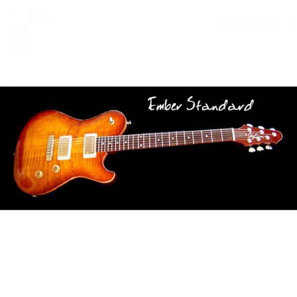 Custom Built EM Standard Flame Maple Top Guitar