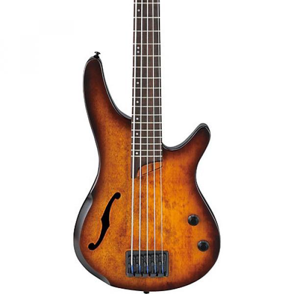 Ibanez SRH505 5-String Electric Bass Guitar Flat Dragon Eye Burst