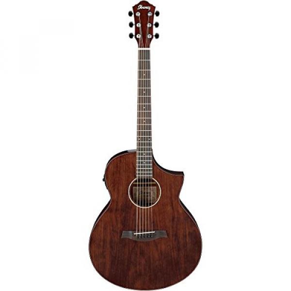Ibanez Exotic Wood AEW40CD-NT Acoustic-Electric Guitar Natural 190839014764