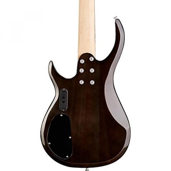 Rogue LX405 Series III Pro 5-String Electric Bass Guitar Transparent Black