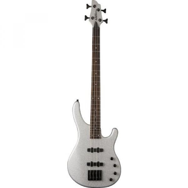 Washburn Signature Series SHB30SVS 4-Strings Bass Guitar, Silver Sparkle